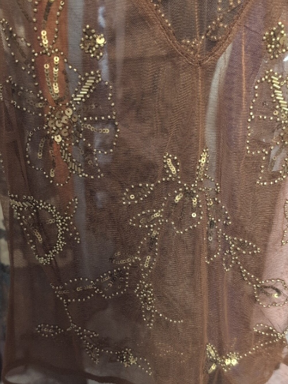 Rachel Zoe Brown Beaded Mesh Camisole NWT - Picture 2 of 5